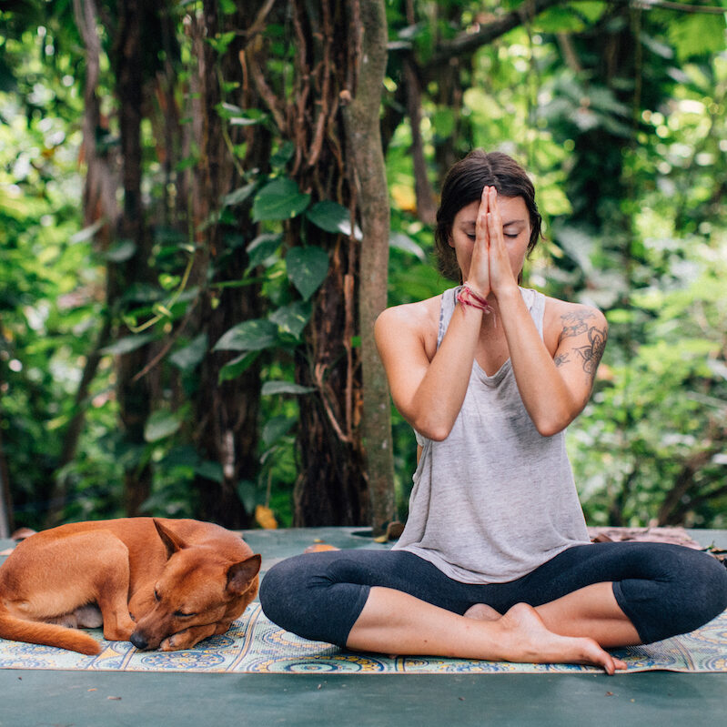 Lisa Cher Yogi Billee White